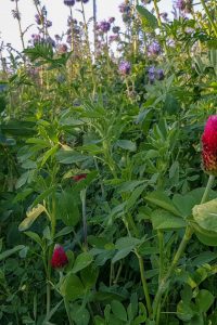 20190501_185842_edited